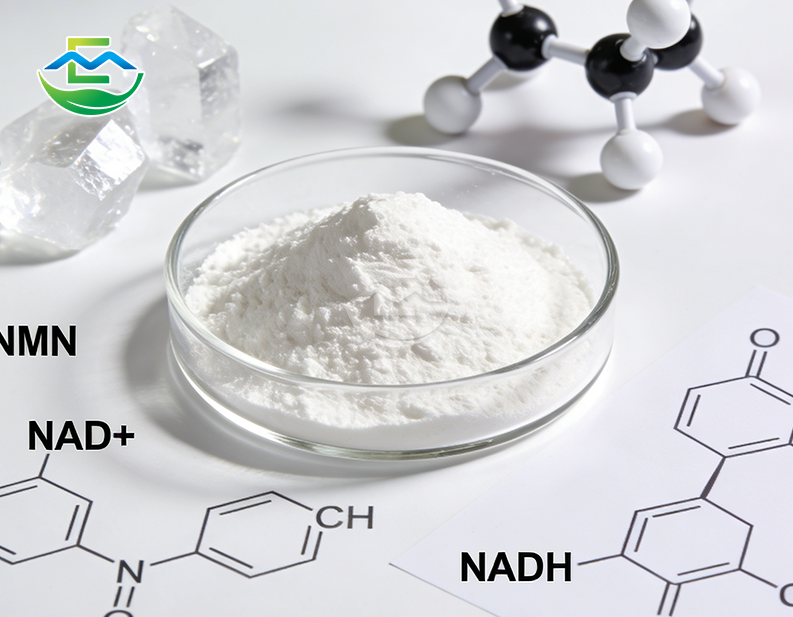 Pure NMN Powder – Nicotinamide Mononucleotide Bulk Supply